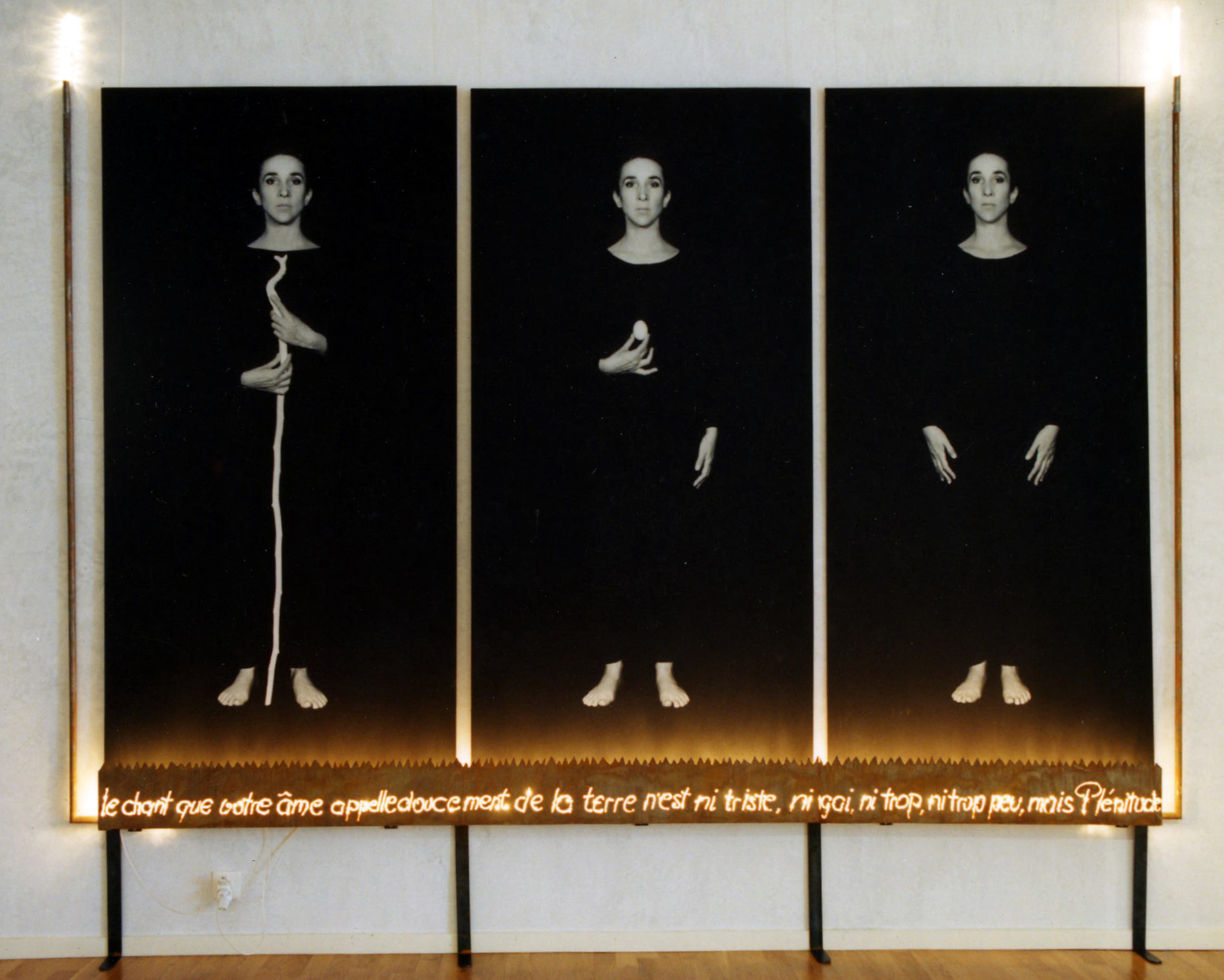 Humanence 1993    Photographies, fer, bois, neons     env.250cmx380cm